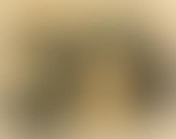 Untitled. Untitled (preview)