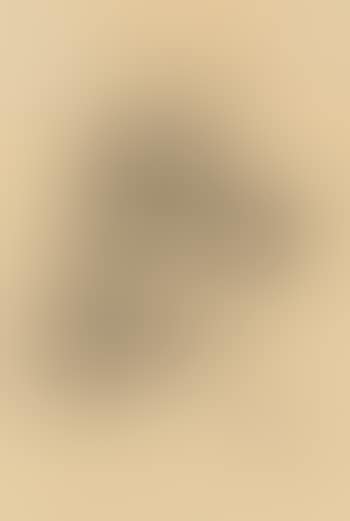 Selbstportrait (preview)