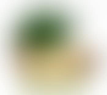 Paysage au palmier (preview)