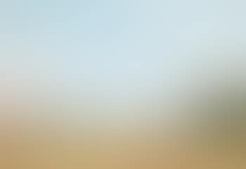 Paysage (preview)