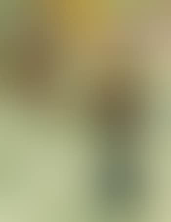 Stillleben mit japanischer Puppe (preview)
