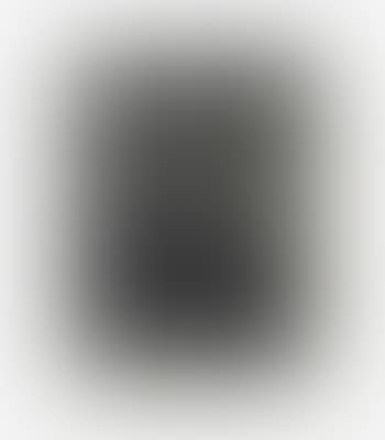Ohne Titel (Zebras) (preview)