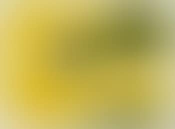 Ohne titel (aus: Beethoven 2000… diesen kuss der ganzen welt) (preview)