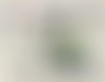 Album 19, planche 6 (preview)