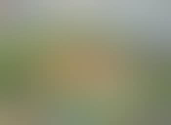 Paisaje de La Alberca (preview)