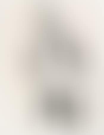 Der Musiker (preview)