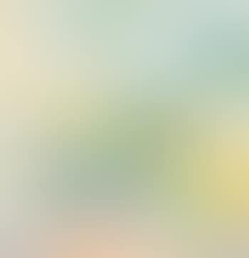 Paisaje (preview)