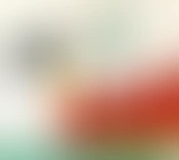 Totem (preview)