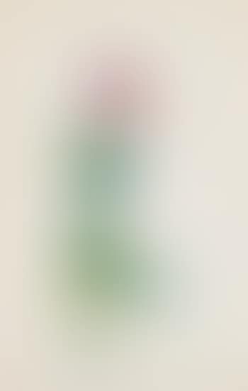 Homme plante (preview)