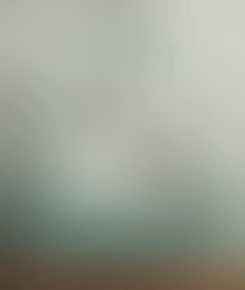 Birds (preview)