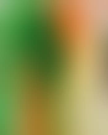 Schüttbild (preview)