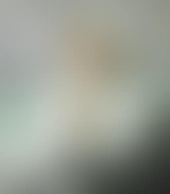 Bølgen (preview)