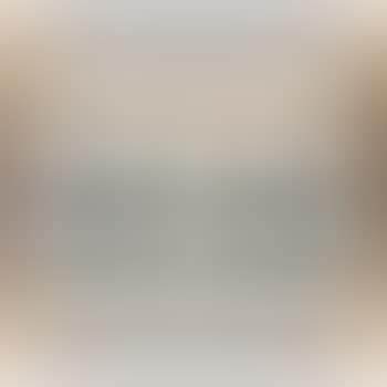 Morning Mist, Taj Mahal No. 5 (preview)