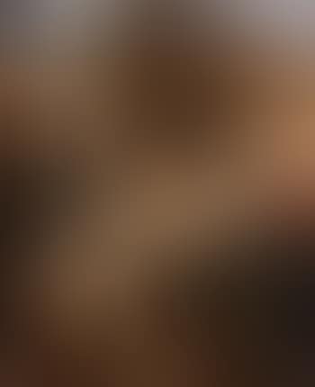 Descendimiento (preview)