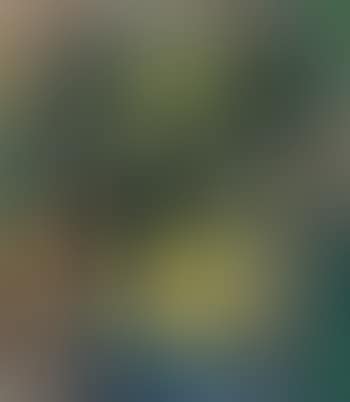 Siddende mandolinspillerske (preview)