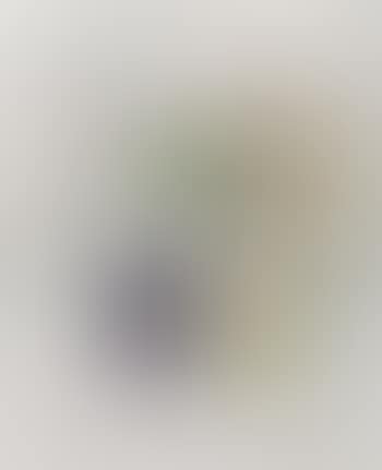 Still Life With Silver Vase And Apple (preview)