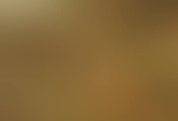 Playing Fox Cubs (preview)