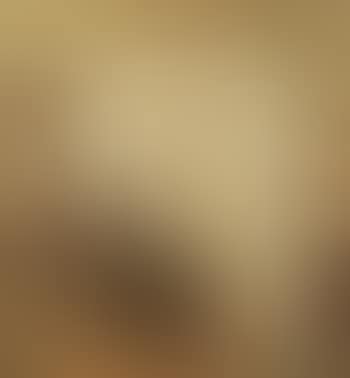 Woman By The Window (preview)