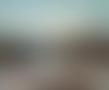 Winter Landscape (preview)