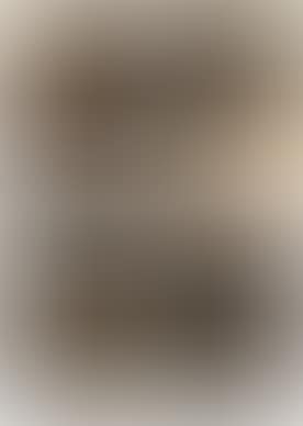 Untitled; Untitled (preview)