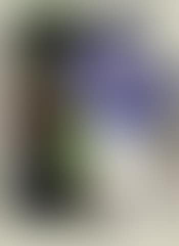 Gerard Depardieu (preview)