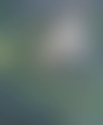 The Turkish grasslands (preview)