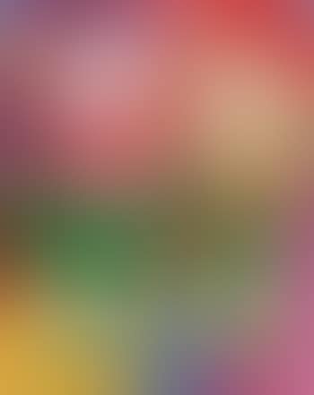My parrot needs freedom (preview)