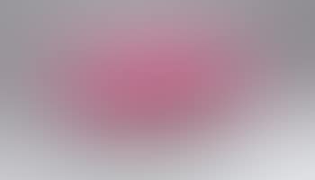 Table rose (preview)