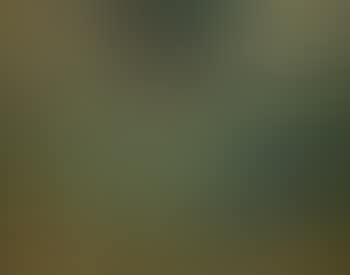 Paysage (preview)