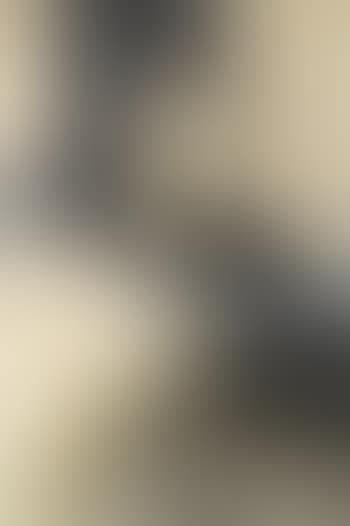 De droom (preview)