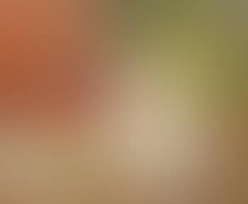 Composition aux fruits et pichet (preview)