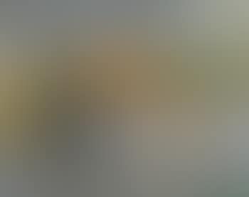Voorspel van een geboorte (preview)