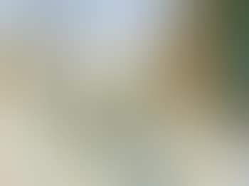 Poppen voor een witte hoeve (preview)