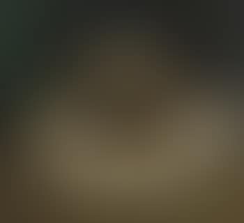 Stilleven (preview)