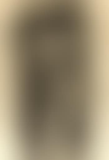 Staand naakt (preview)