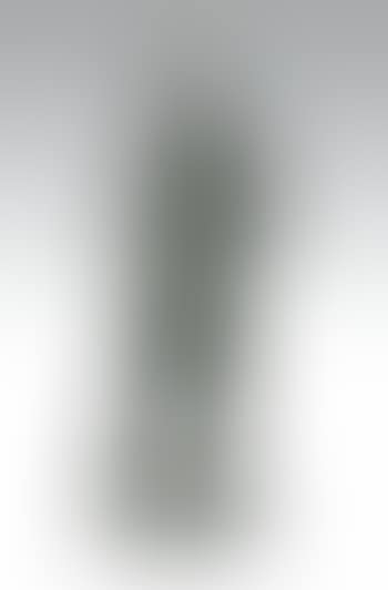 Chanteuse nue (preview)