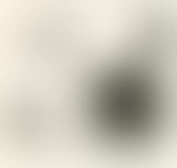 Compositie (preview)