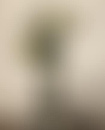 Liliums dans un vase (preview)