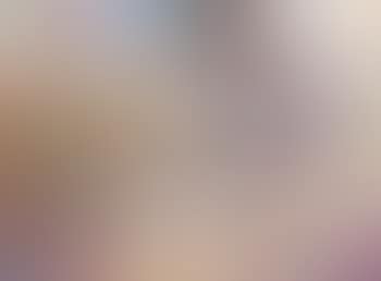 Paysage rocheux, fleurs et murailles (preview)