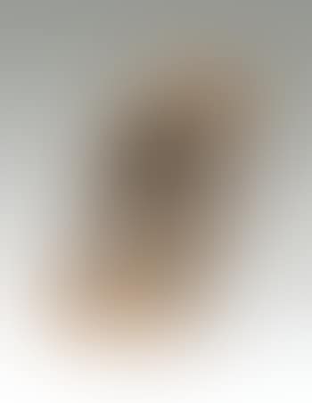 Renvoyer la balle? (preview)