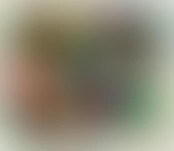 Compositie (preview)