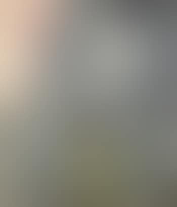 Matutinal (preview)