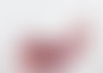 Sans titre (preview)