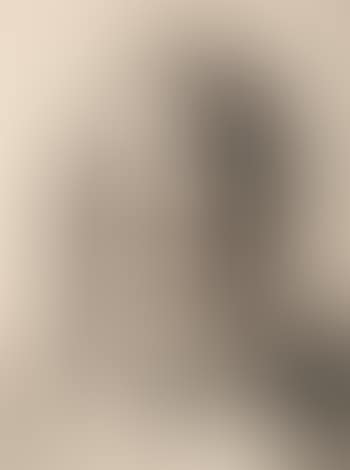 Portrait of the Artist's Wife (preview)