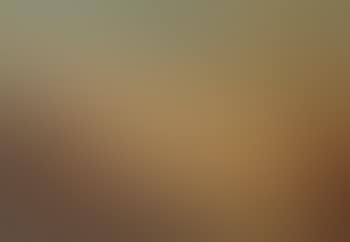 Venise (preview)