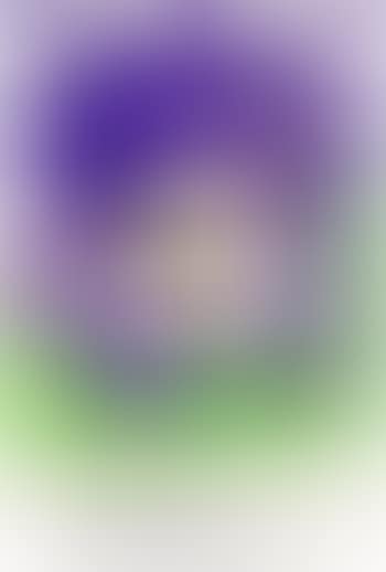 Liberty (purple and green) (preview)