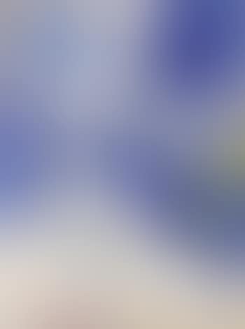 No. 3 (Blue and Yellow) (preview)