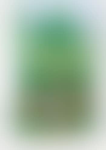 Homo Humus Come Va – 10002 Nights (preview)
