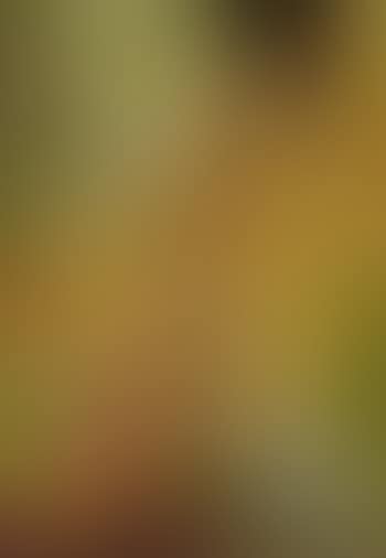Donna seduta (preview)