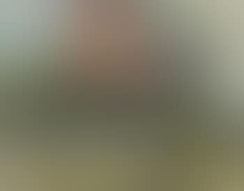 Horse Cart (preview)